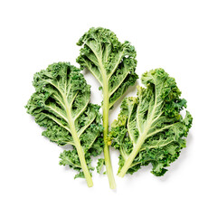 Fresh kale leaves isolated on white background, top view