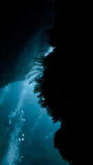 Underwater cave entrance in silhouette with school of fish.