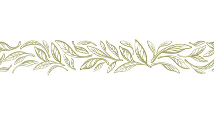 Leaves border. Olive, laurel greek seamless print - obrazy, fototapety, plakaty