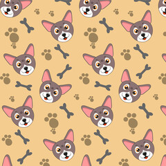 Pattern dog