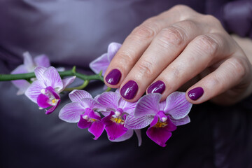 Obraz na płótnie Canvas Violet gel polish manicure on short nails with an orchid of the same shades