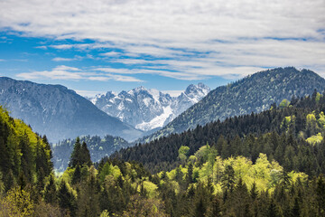 Fototapeta na wymiar Alpenpanorama mit Wald