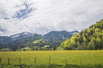 Feld mit Alpenpanorama