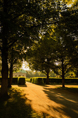 Sunlight and long shadows in park