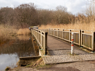 Fototapeta premium Wooden bridge over the river