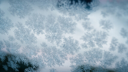 Snow crystals formed on the window during the cold months of winter