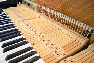 piano アップライトピアノのアクション内部構造、ハンマー、鍵盤、ピアノ弦など