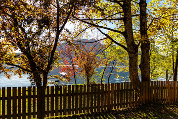 Obraz premium Summer day by a lake