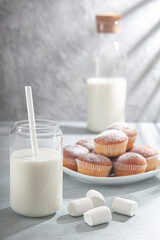 glass of milk and plate of chocolate cookies on the table with grey background in the morning light