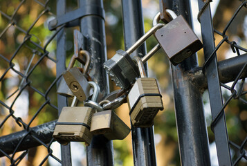 Padlock Cluster on Chain Link Fence