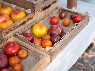 Fresh organic tomatoes display in boxes for sale in farmer market