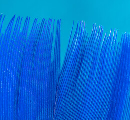 Blue feather as a background.