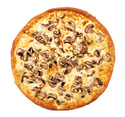 Pizza with champignons and cheese