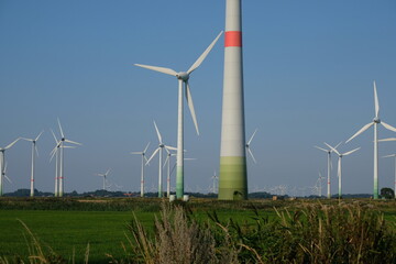 FU 2020-08-11 Fries T2 1341 Auf der Wiese stehen Windräder