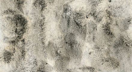 Abstract texture. Versatile artistic image for creative design projects: posters, banners, cards, book covers, magazines, prints, wallpapers. Mixed media. Grunge background. Neutral colours.
