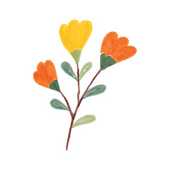 Wildflower Tulip Hand Painted Watercolor Illustration