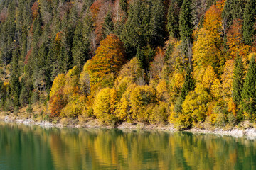 Stausee im Herbst