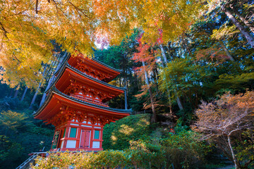京都　岩船寺（がんせんじ）の三重塔と紅葉