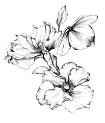 Decorative monochrome composition of blooming poppies for greeting cards design.