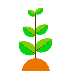 Fototapeta na wymiar Ilustration of growth tree