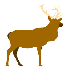 Faceless ilustration of deer