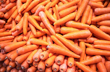 bunch of fresh carrots on a supermarket counter