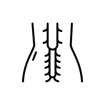 Cauda Equina Syndrome Line Icon. Isolated Vector Element.