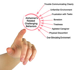 Causes Alzheimer's Related Challenging Behaviors.