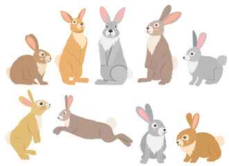 rabbit set flat design , isolated vector