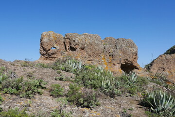 Fototapeta na wymiar Felsen auf Gran Canaria