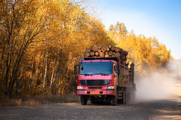 Red logging truck on forest road in autumn