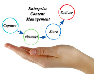 Process of Enterprise Content Management