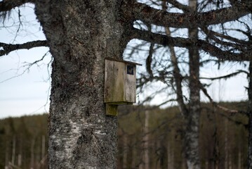 A birds cozy house