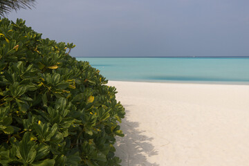 Amazing beach in the Maldives. Day time