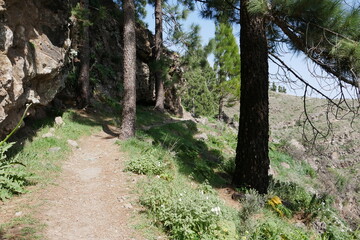 Wanderweg, Felsen und Kiefern auf Gran Canaria