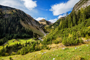 Beautiful little mountain valley with green grass and forest at a sunny day in the Allgau Alps near Elbigenalp. Tirol, Austria, Europe