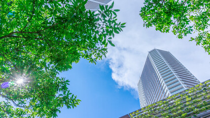 高層マンションと青空と雲の風景_12