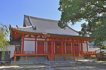 Fototapeta premium 専念寺・本堂