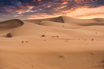 Fototapeta na wymiar Sand dunes landscape view of Sahara desert at sunset in Dubai, United Arab Emirates