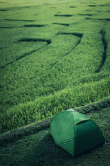 Green camping tent with Beautiful sunruse scene of rice paddies field at Ban Mae Klang Luang, Doi...