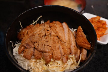 Japanese Food, Hokkaido Buta-Don, Grilled Pork Bowl - 日本料理 北海道 十勝 豚丼