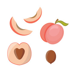 Vector illustration of peach in flat style. Delicious slices, juicy fresh fruit, summer time