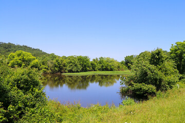 nature preserve park pond reflection rural lake green grass wild grassland blue sky clear nature scene