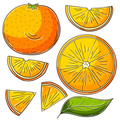 Set of vector illustrations in hand drawn style