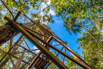 Wooden viewpoint tower tropical jungle to Muyil Lagoon panorama Mexico.