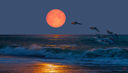 A flock of dolphins jumping above the clouds with full blue moon "Elements of this image furnished by NASA " © muratart