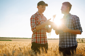 Farmers discuss agricultural issues on a wheat field. Farmers with tablet in the field. Smart farm. Agriculture, gardening or ecology concept.