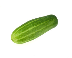 one fresh cucumber isolated on white background