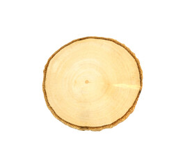 Top view small cut tree on white background. wooden tray