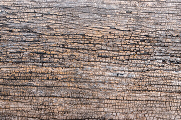 Fototapeta premium Old wood texture details background.